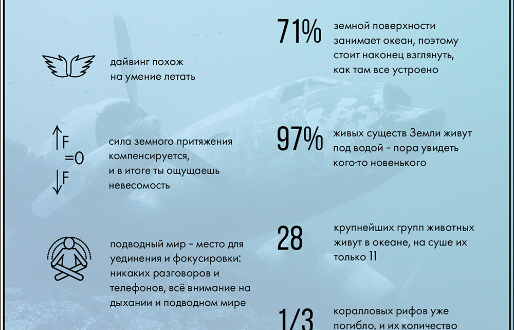Дайвинг для начинающих: пошаговое руководство