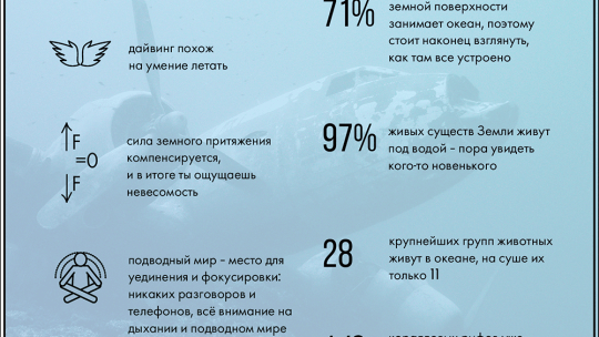 Дайвинг для начинающих: пошаговое руководство