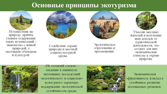 Эффективные презентации в сфере экологического туризма