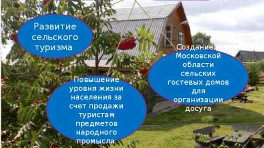 Разработка проекта экологического туризма