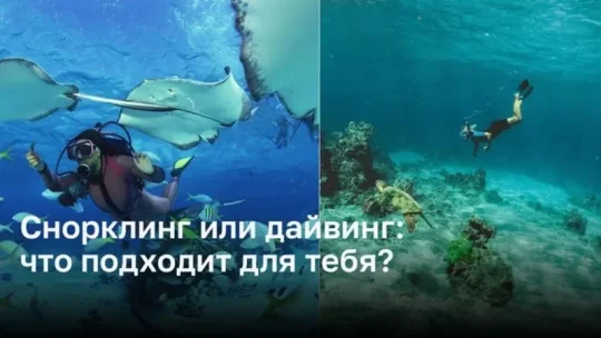 Снорклинг и дайвинг: сравнение двух способов исследования подводного мира